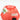 Ankyo Bug Catcher Kit - 5 Count